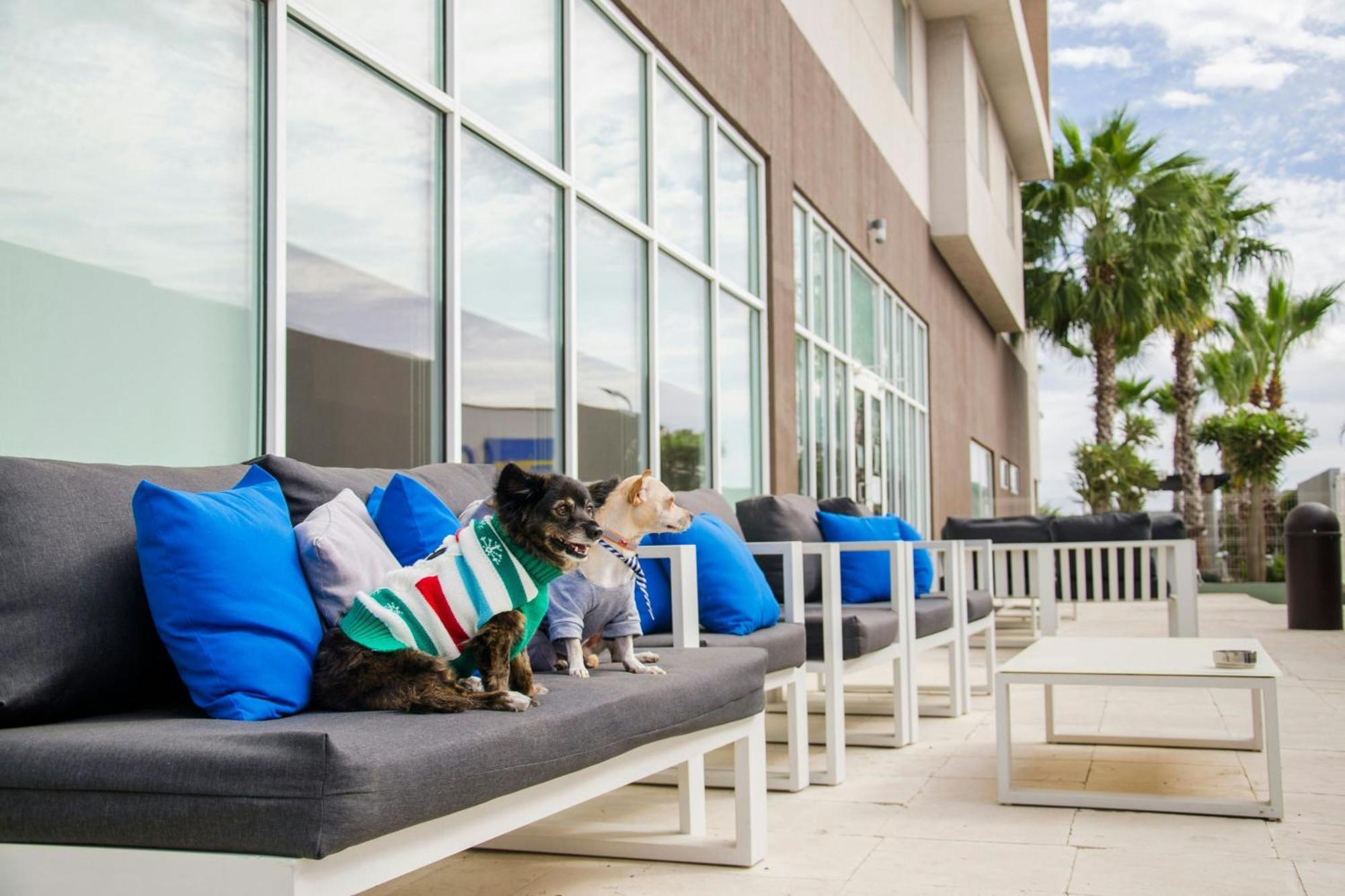 Courtyard By Marriott Hermosillo Eksteriør bilde